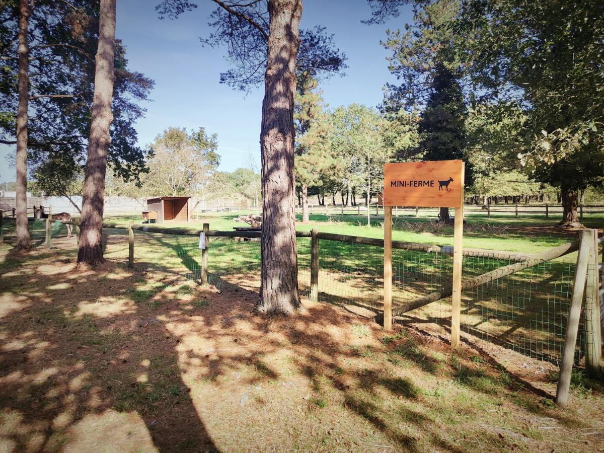 Bungalow Cosy Equipe La Boissiere-de-Montaigu Ngoại thất bức ảnh